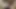 Mommy letting me cum after days