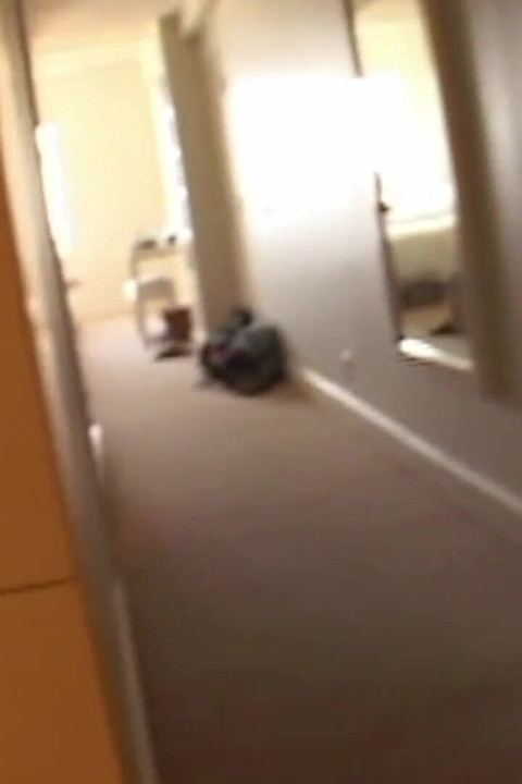 彼らは5分前にブロンドのサマー・ロングに会ったが、彼女はすでにビキニを脱いでいる。