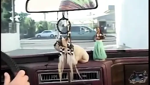 Adam sevimli bir bebeği sikiyor ve sikini emdirdikten sonra onu dölletir