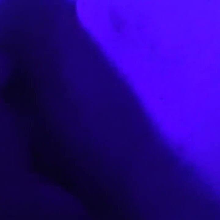 Teasing and Pleasing