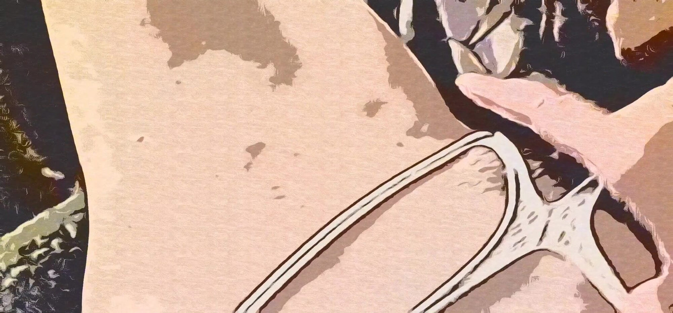 A Cartoon Moment