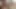 Ersties - Squirting Queen Julia B bringt sich selbst zum Spritzen