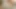 Sürtük ne the becerdin köpek hotmilf