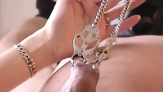 The Ladies Pleasure