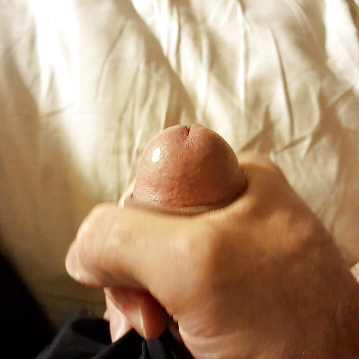 Horny Dilf Touching My Throbbing Cock to Summer Girl Crush