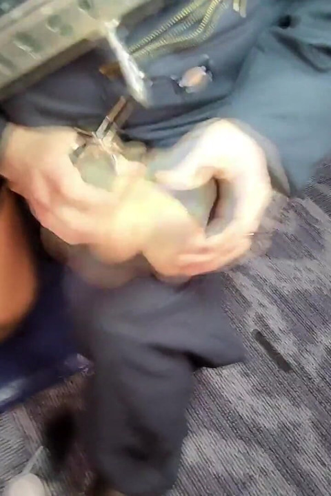 Mini Mura Surus - pés quentes fazem cócegas e são exibidos! - 1080p - New Bleu - Mostramos pés sensuais da Muras e faz cócegas neles, o que leva ele