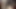 オフィスで猫クソ