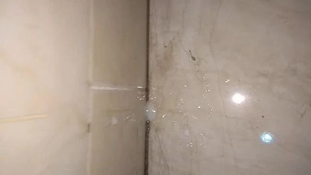 My ejaculate