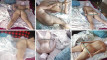 Pregled videozapisa