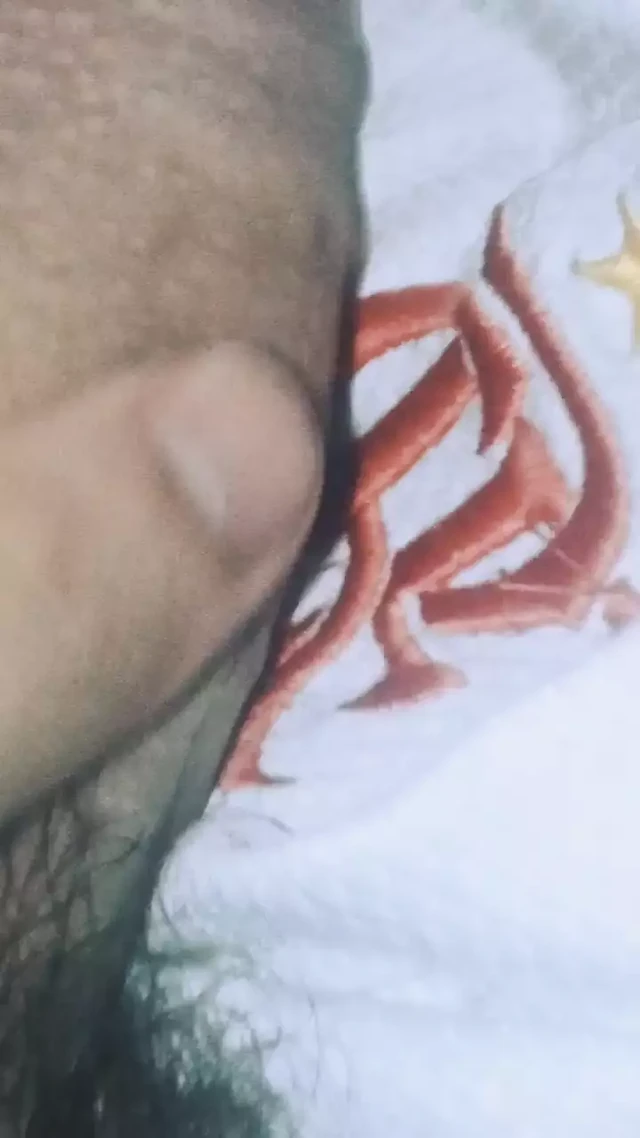 colombian porn creampie big big thick dick
