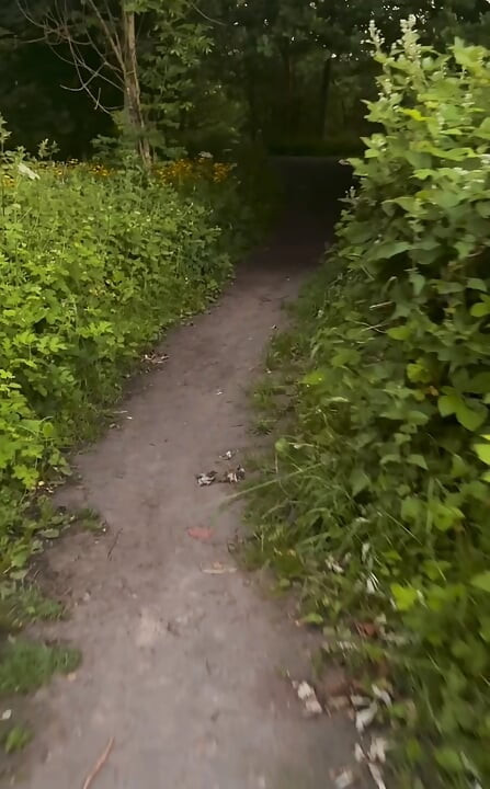 Horny on a barefoot nude walk so I edged my fat cock