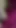 Unforgettable moment from "Dogy style main sali ki chudai Indian desi sex video"