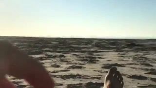 Walenie konia na plaży obserwując, jak para się całuje