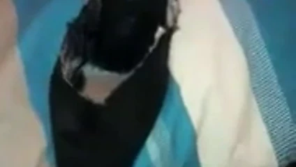 Ayakkabı boşalması