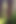 Hiking, Pissing and Masturbating in the Woods