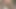 Sabrina Carpenter Cum Tribute #10