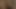 a dream of cum