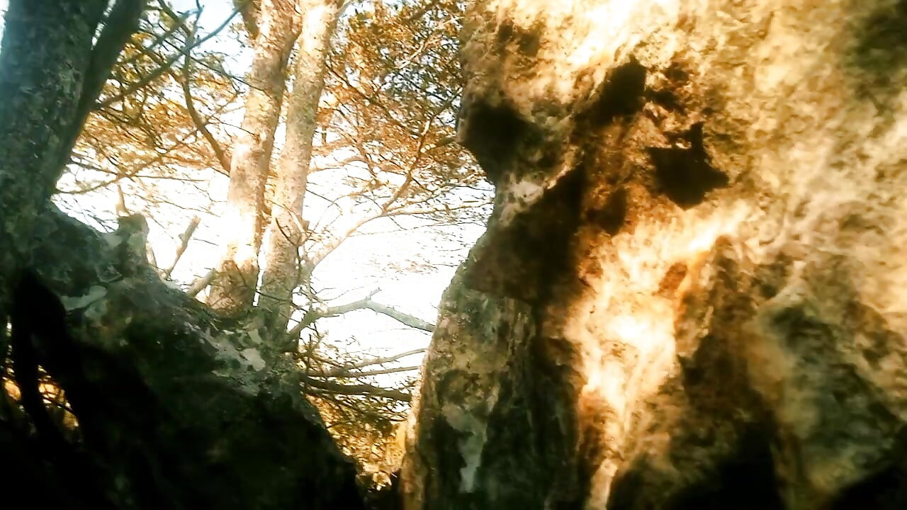 Lovely and highly feeling