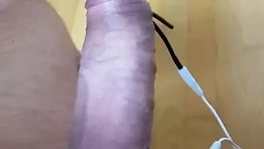 penis elektrokok