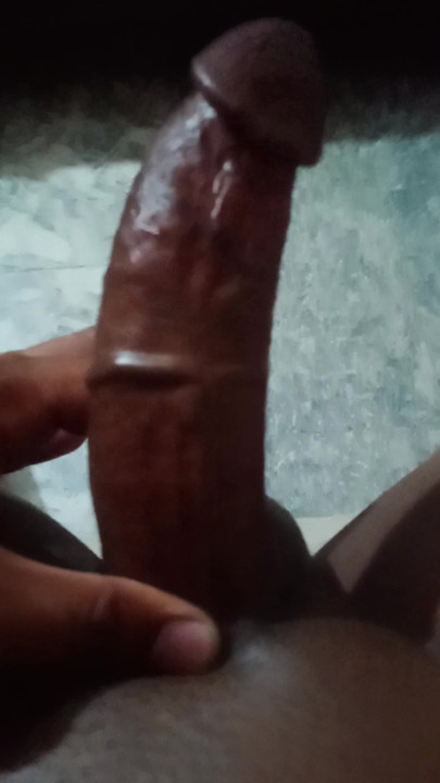 لاهور الديك الكبير لون الباكستاني