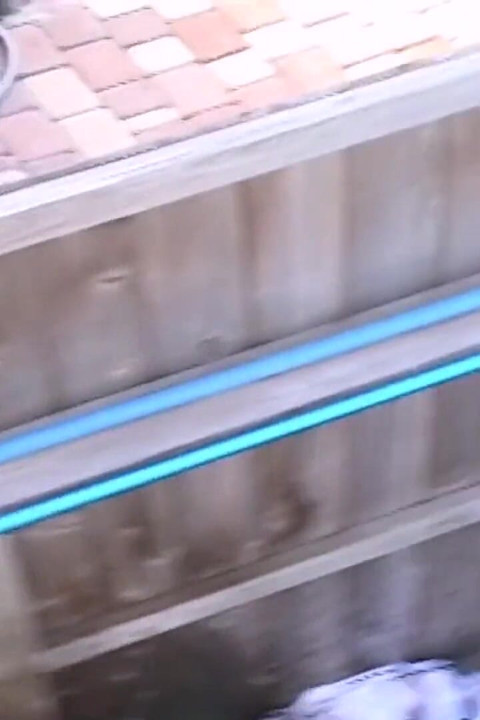 Spring Breakers Make Out Naked In Outdoor Shower