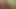 Solo Mature Guy Closeup Hot Cum scene