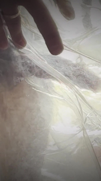 Cumshot compilation #9 - orgasms, cumshots and aftermaths | Clip 1