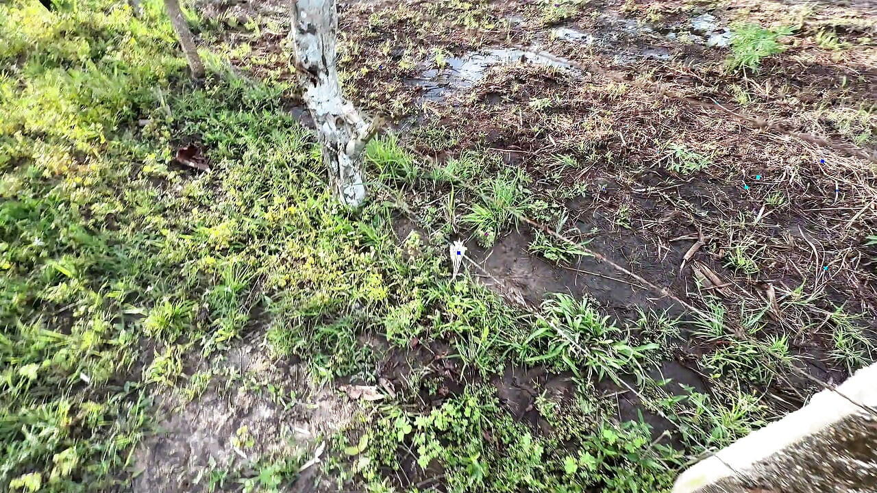 Mi jefa, Sara Sodi, me lleva a tener sexo al aire libre en las montañas