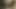 Amateur-milf lutscht bbc