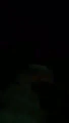 Porn Cinema Luxembourg 2