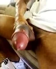 Huge cock