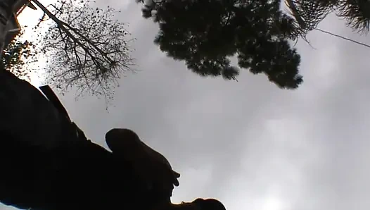 The Fox Eats It All, part 3