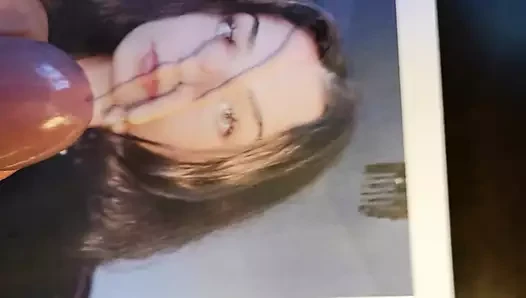 Xyltbbx 2