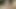 الملاك الآسيوي 25640