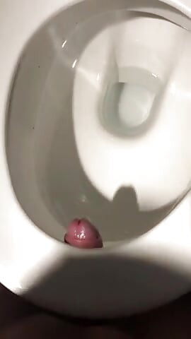 Em um banheiro público usando o banheiro para foder e atirando minha carga no banheiro!
