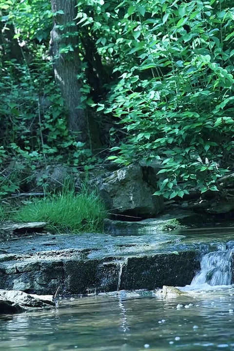 Flexing by the Waterfall, Trying to Sneak a Little Private Moment