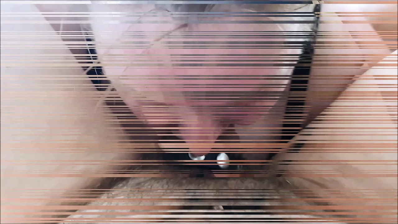 Using a slut’s head like a fleshlight