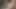 punjabi bhabi fucked by bihari part - 2, bihari ne randi bhabi ko ghodi bana ke khoob pela