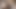 FTM jock bouncing on cock after sweet oral foreplay