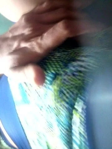 Rico