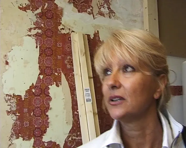 下流的法国奶奶被鸡巴深深插入菊花