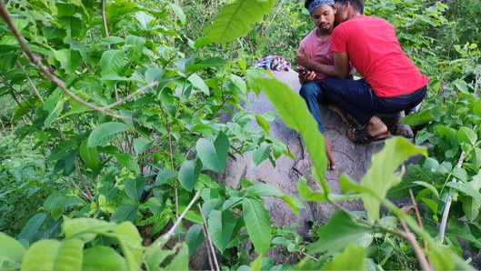 Wow qué cosa, hoy en el jardín de guayaba, el semen fue expulsado de coño bolsillo con mucho entusiasmo -parte 2