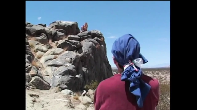 Pussy in the Middle of Nowhere