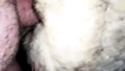 Furfuck
