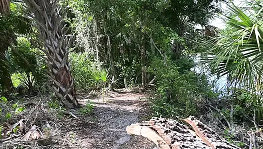 Full Day Video