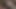 完璧にいいセーターが消えた
