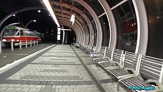 Public Agent