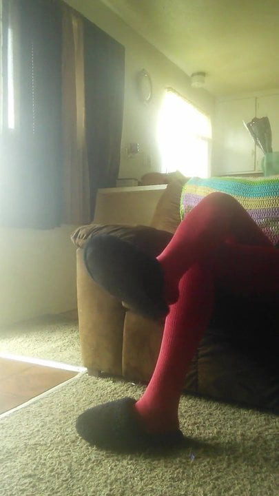 Legs