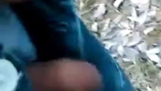 Doğa