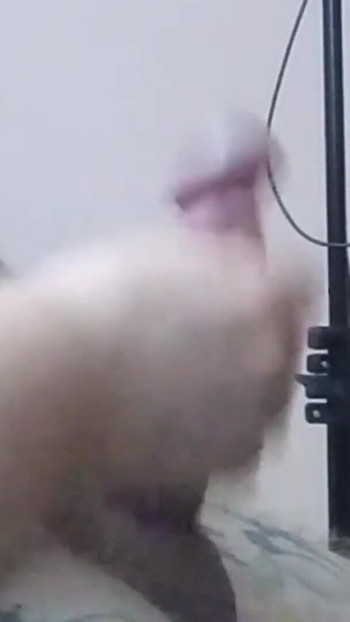 Pregled videozapisa
